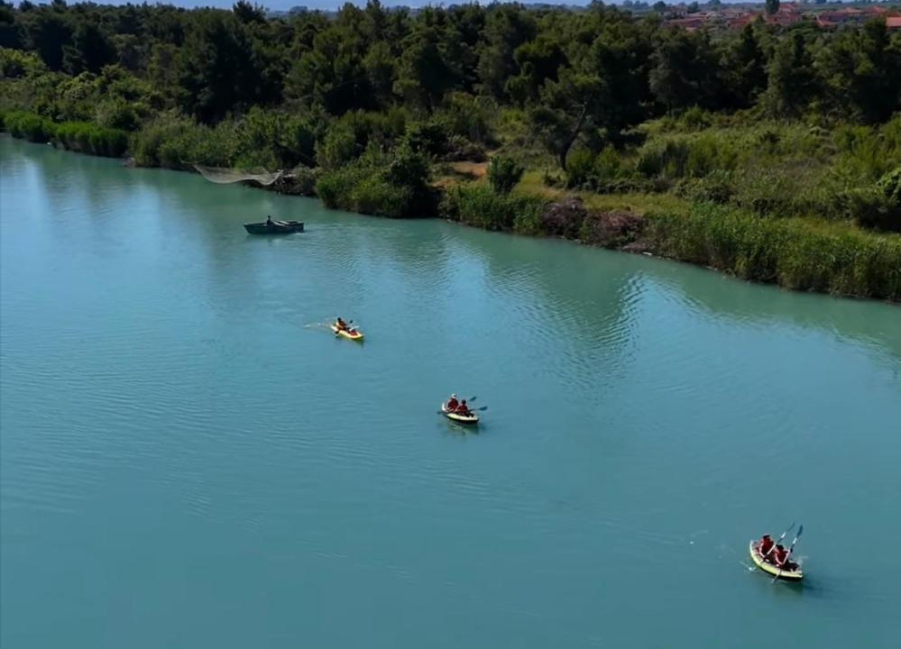 Photo of Others in Fier