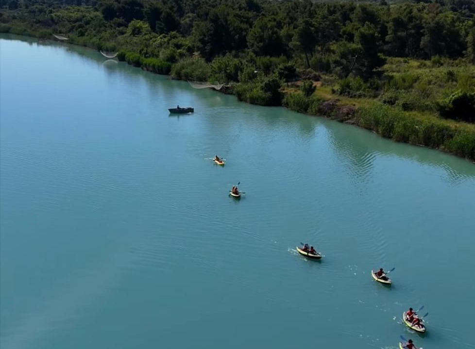 Photo of Others in Fier