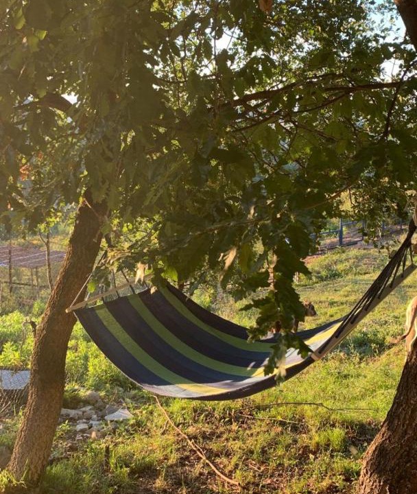 Photo of Others in Mbrostar-Urë