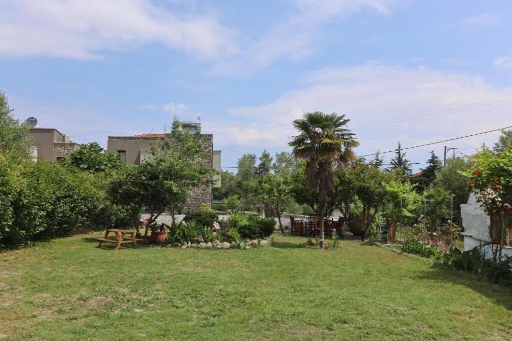 Photo of Others in Haniotis