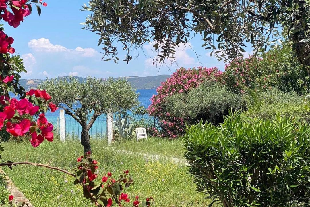 Photo of Others in Aristotelis