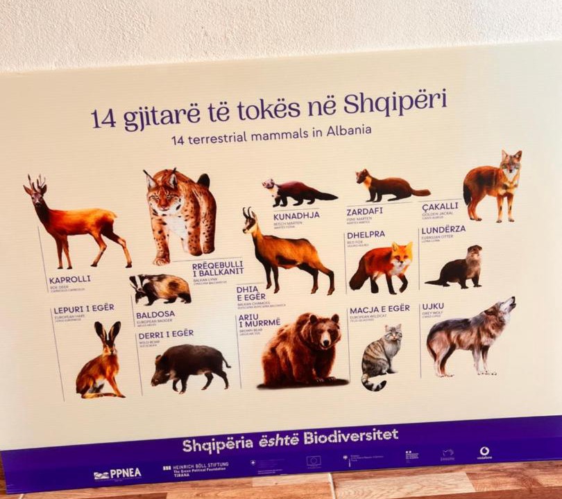 Photo of Others in Kukes County