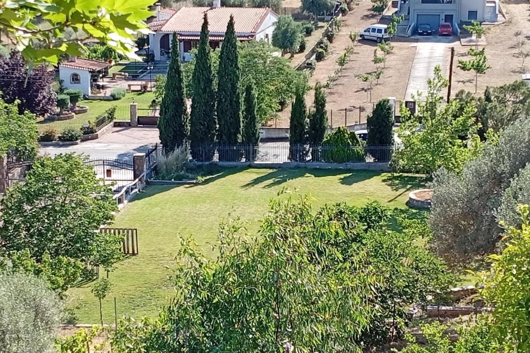 Photo of Others in Amarinthos