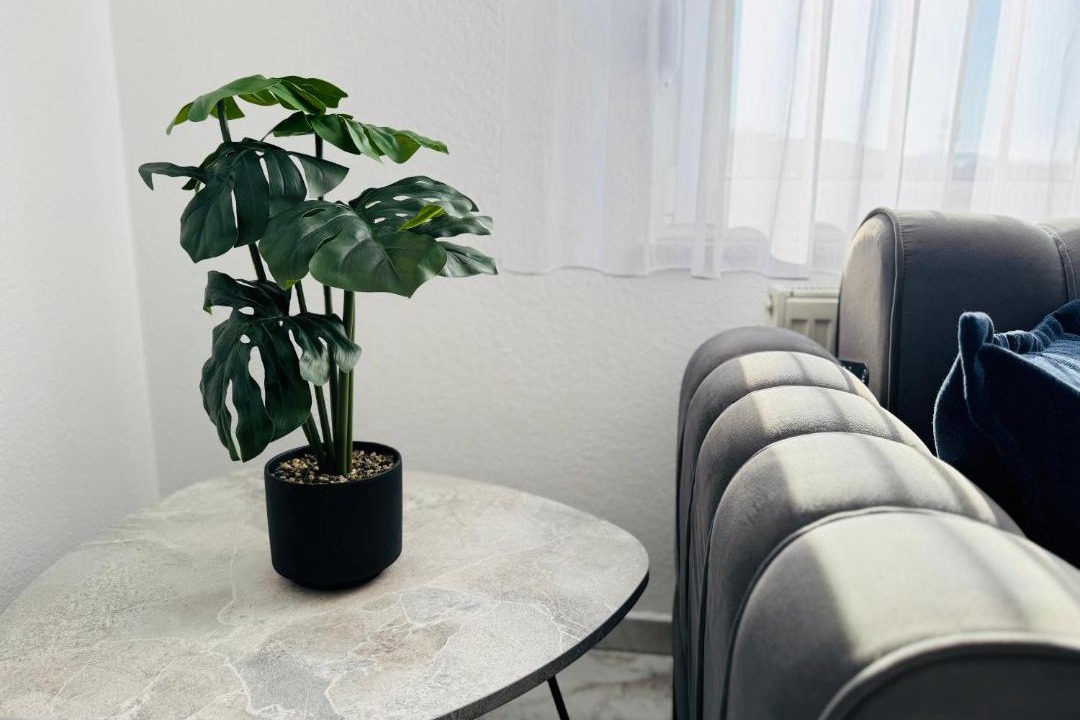 Photo of Livingroom in Prizren