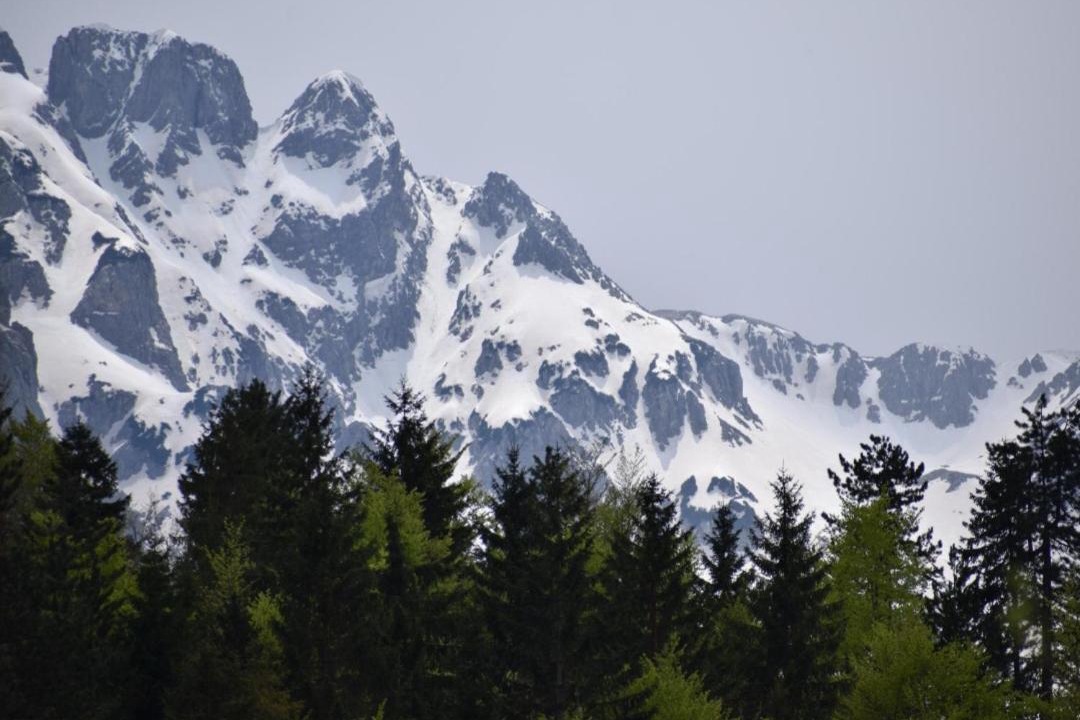 Photo of Others in Valbone