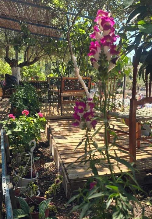 Photo of Outdoor in Himare