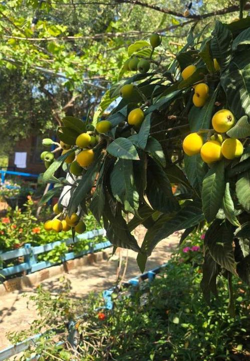 Photo of Outdoor in Himare