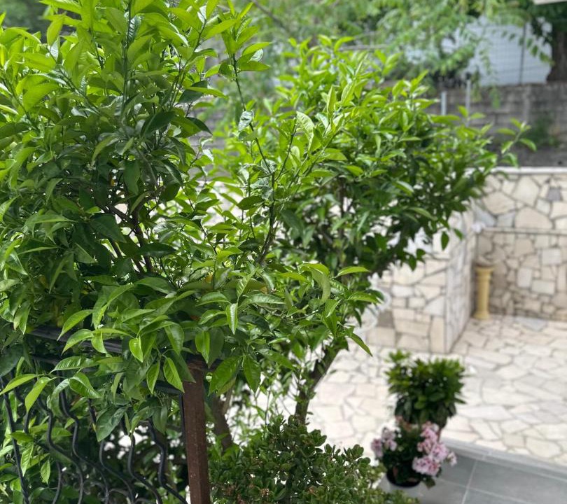 Photo of Others in Gjirokaster
