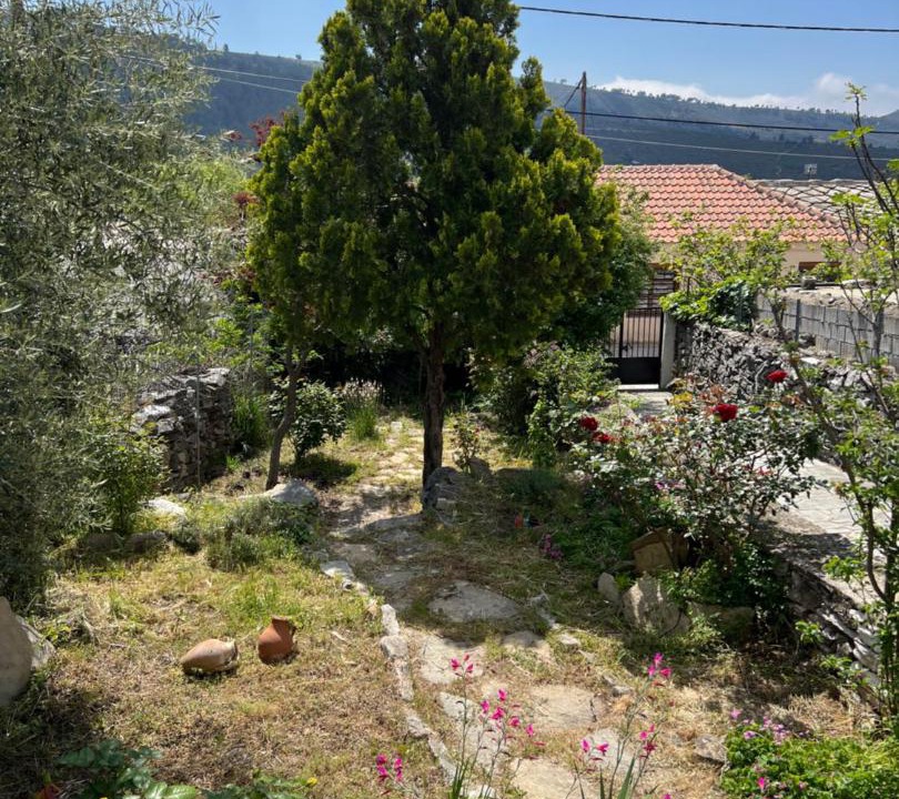Photo of Others in Thasos
