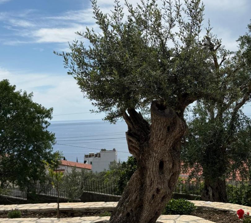 Photo of Others in Dhermi
