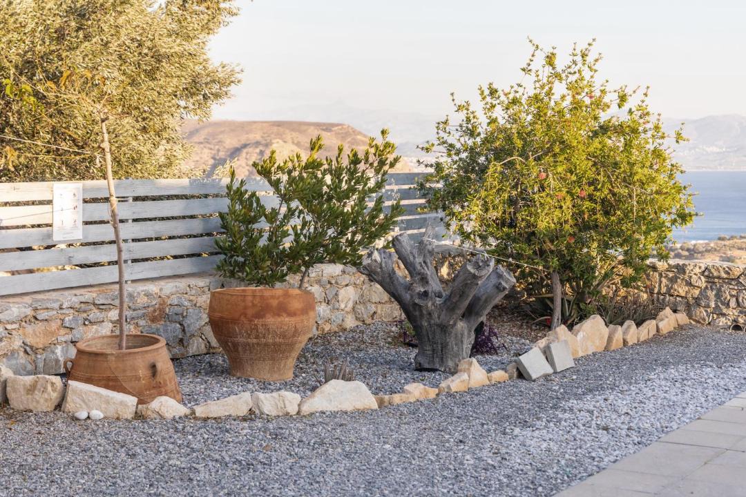 Photo of Others in Agia Galini