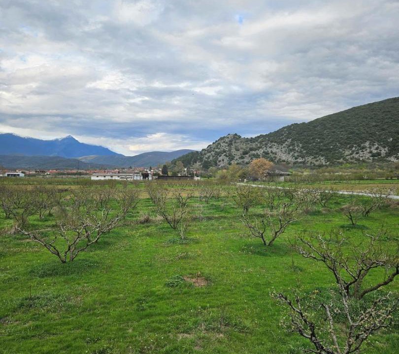 Photo of Others in Konstantia