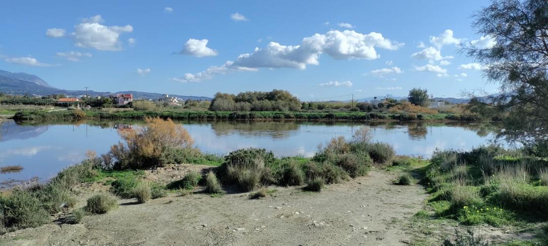 Photo of Others in Tymbaki