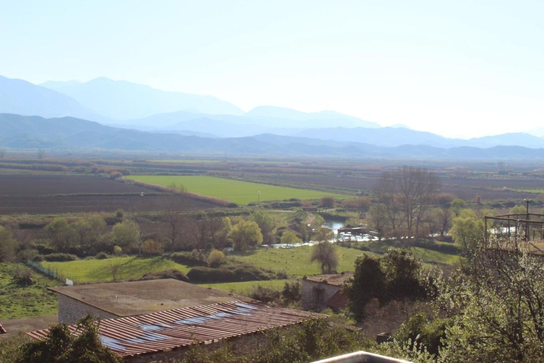 Photo of Others in Aliko