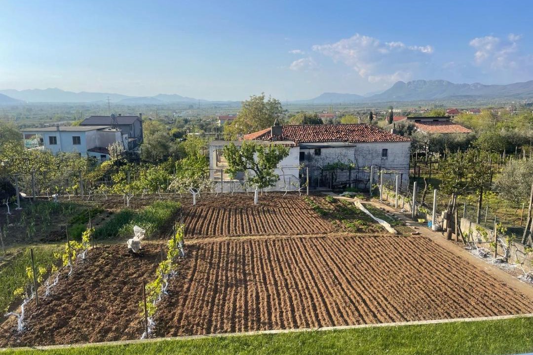 Photo of Others in Sakës