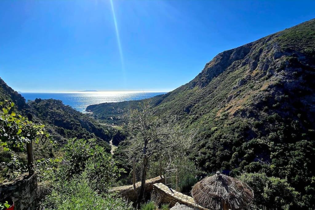 Photo of Others in Himare