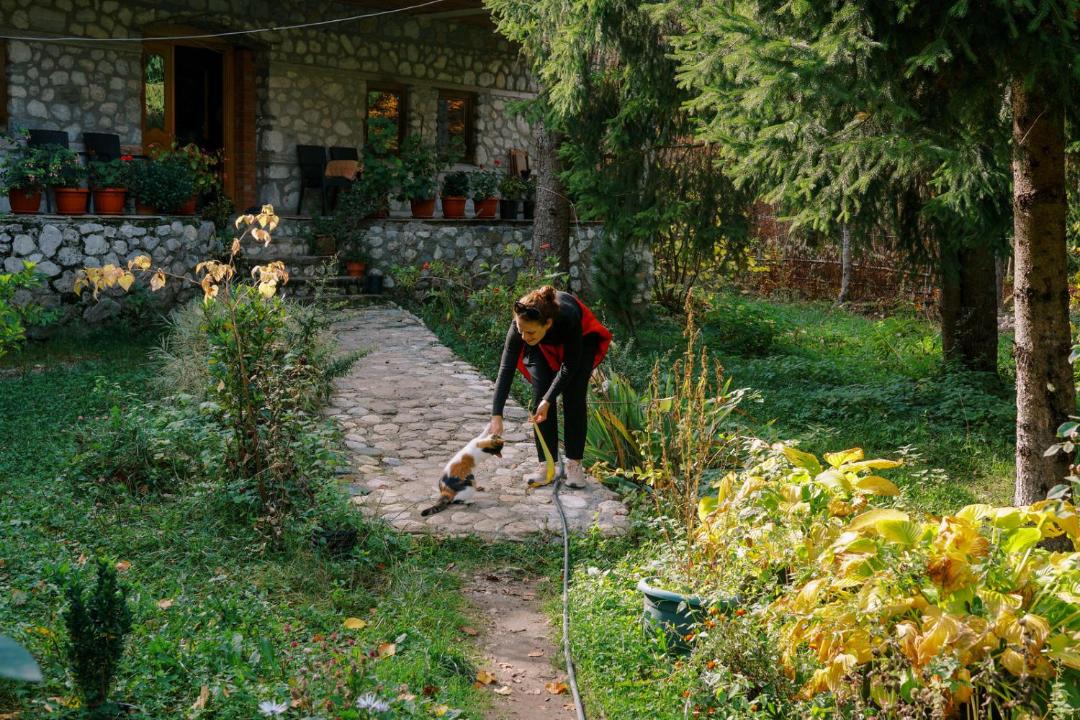 Photo of Others in Kukes County