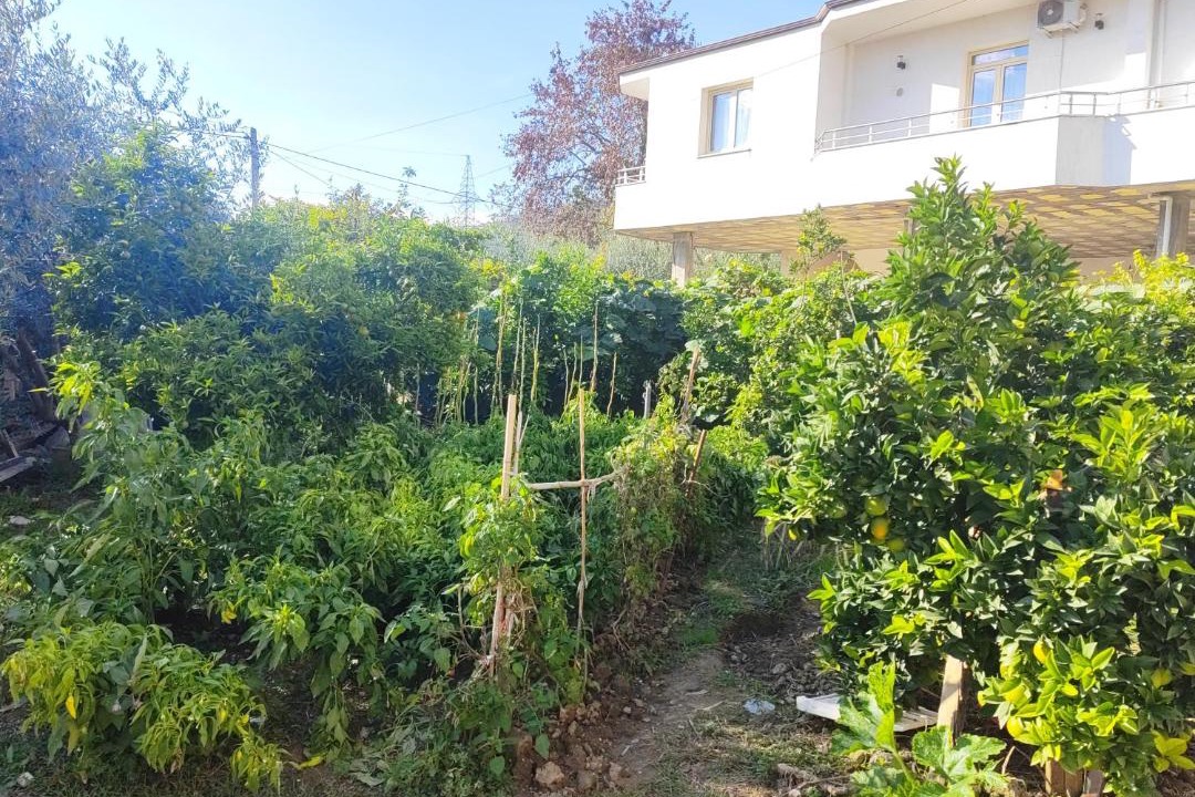 Photo of Others in Elbasan