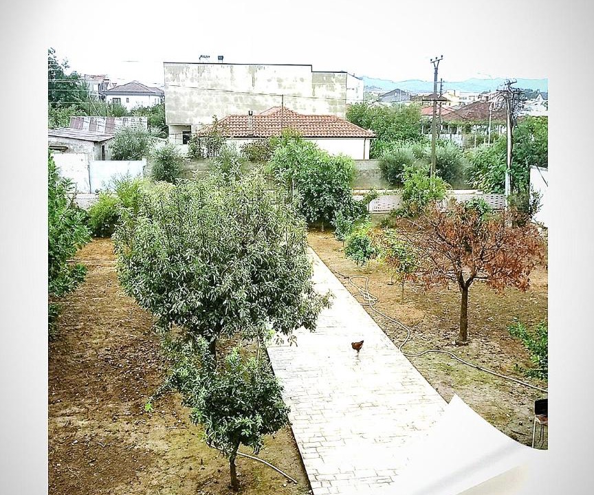 Photo of Others in Xhafzotaj