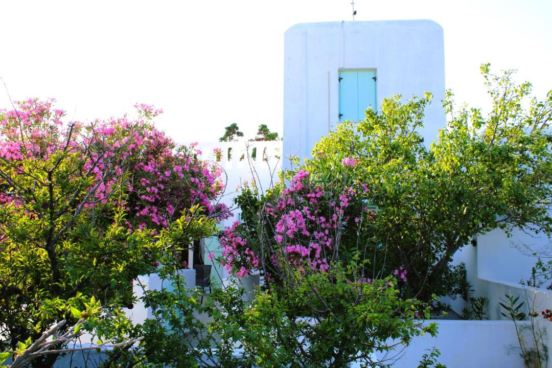 Photo of Others in Astypalaia