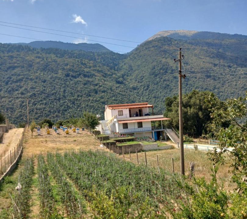 Photo of Others in Orikum