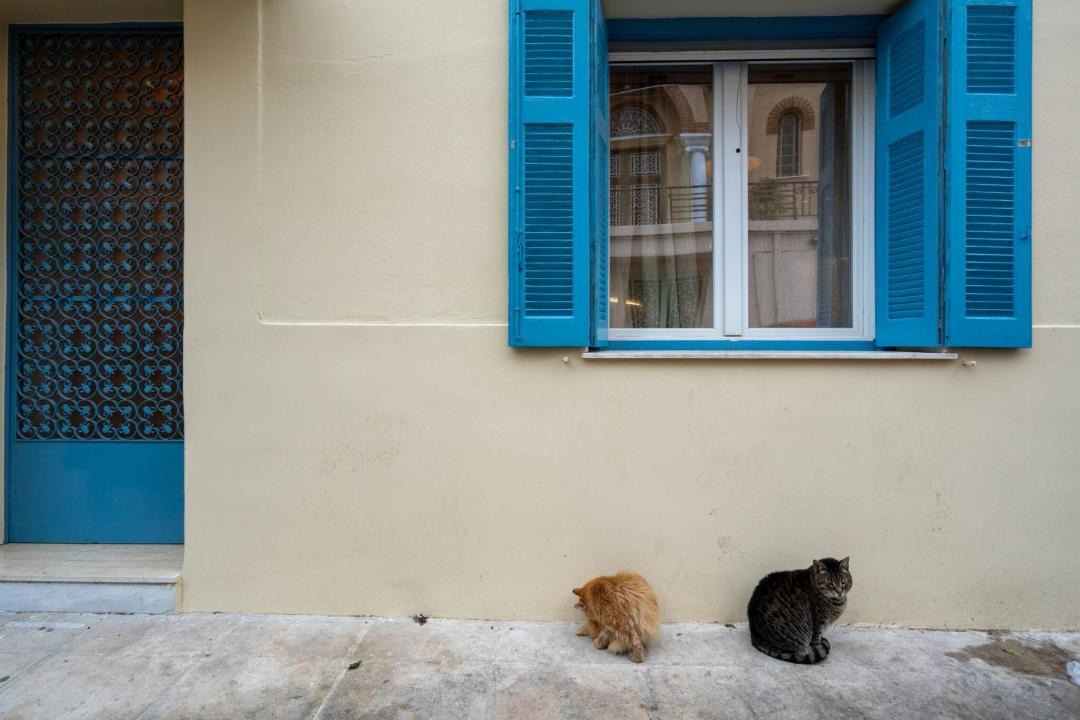Photo of Others in Filopappou