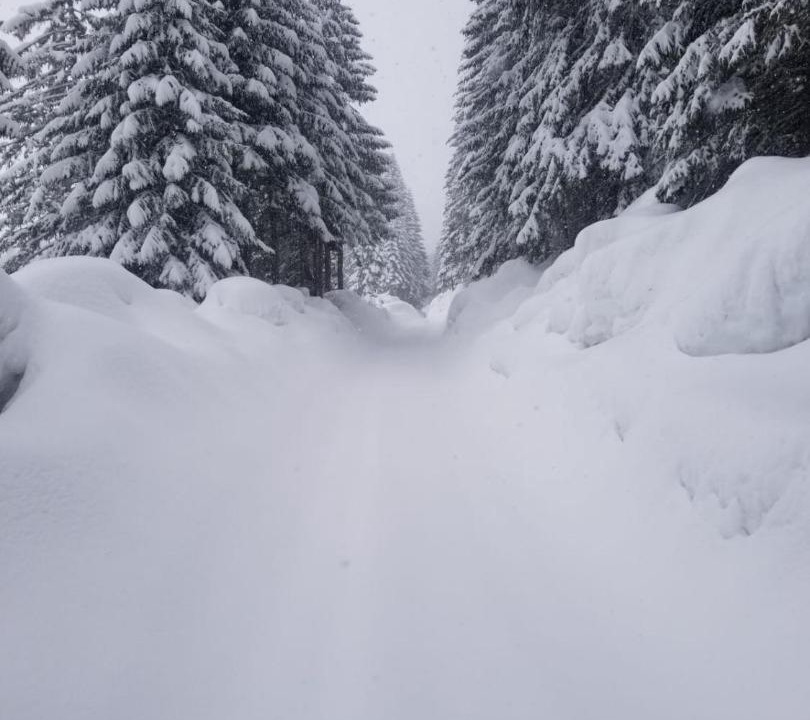 Photo of Others in Strellc i Epërm