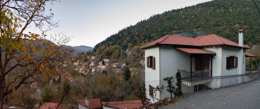 Photo of Others in Megalo Chorio