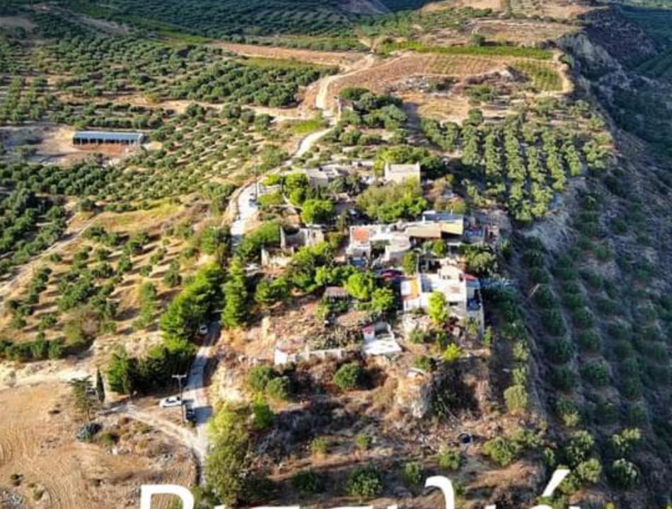 Photo of Others in Minoa Pediada