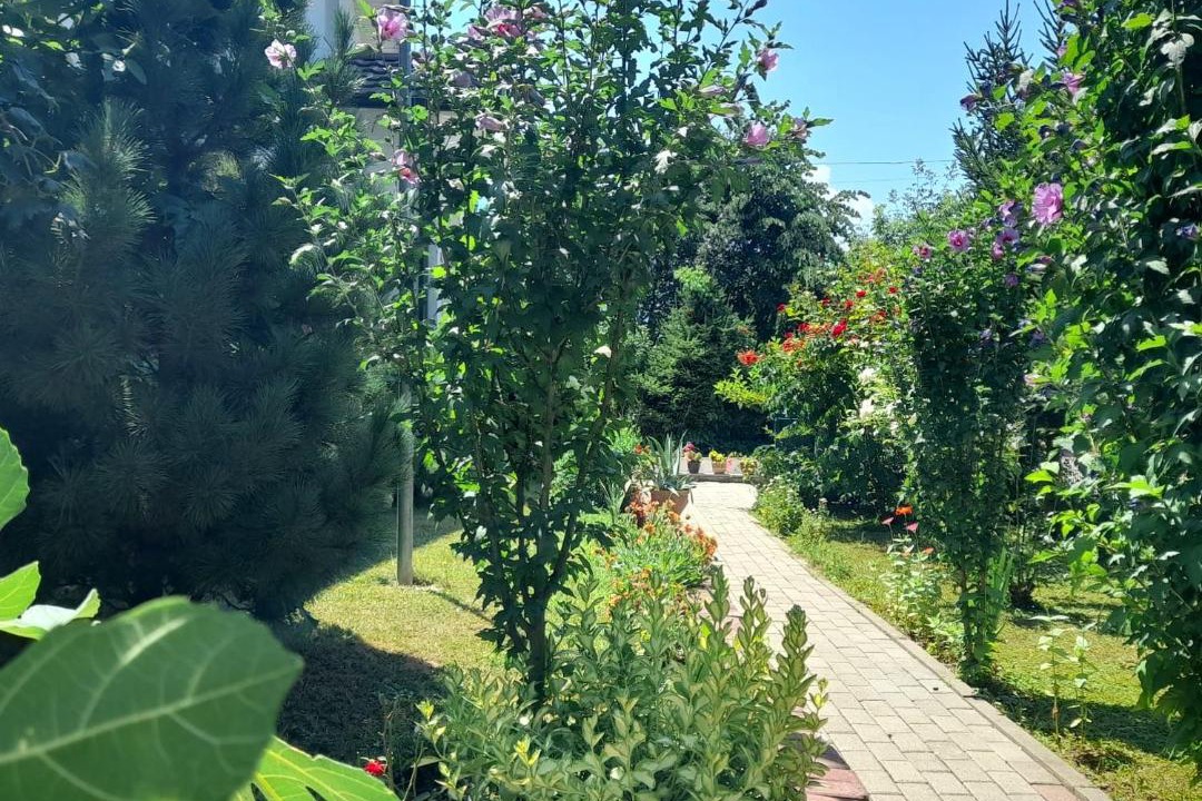 Photo of Others in Pejë