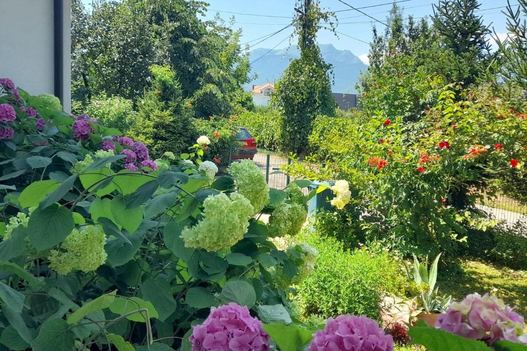 Photo of Others in Pejë