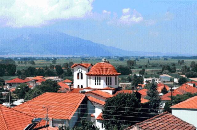 Photo of Others in Krinidhes