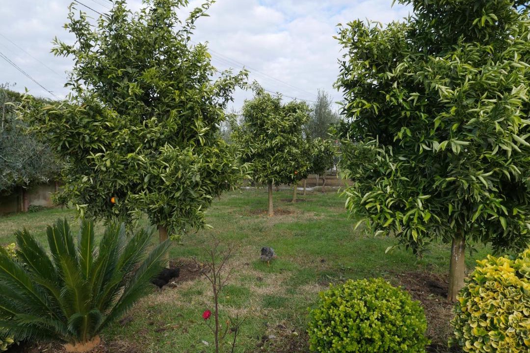Photo of Outdoor in Rade
