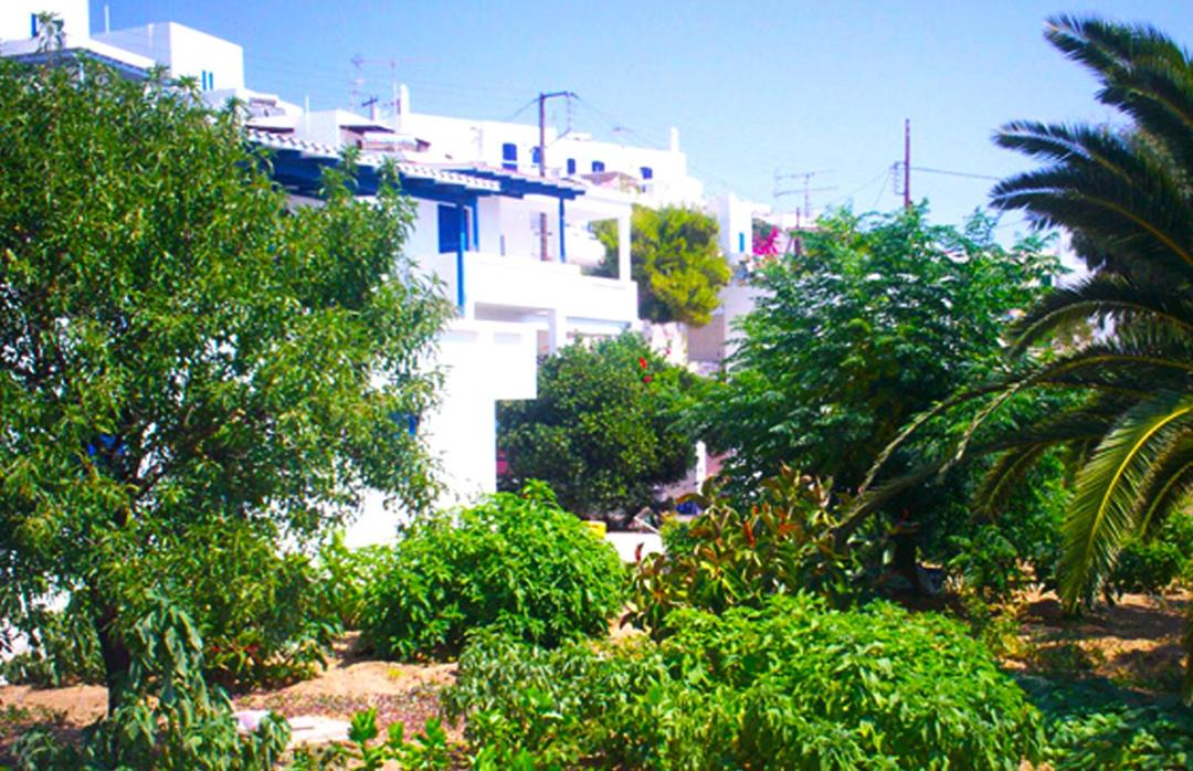 Photo of Others in Livadi
