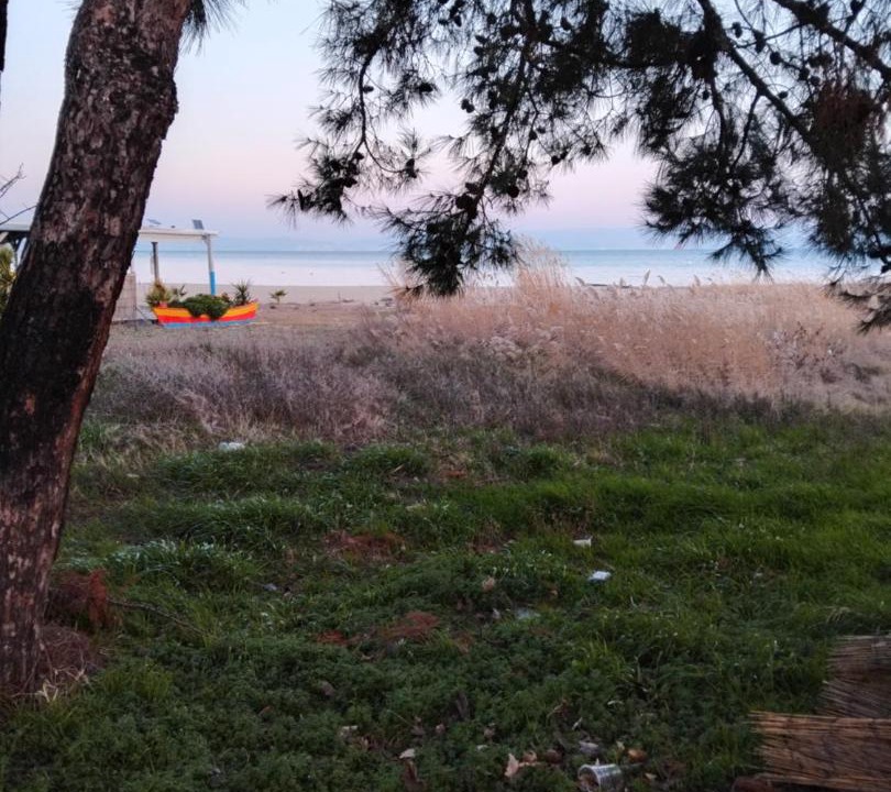 Photo of Others in Skala Prinou