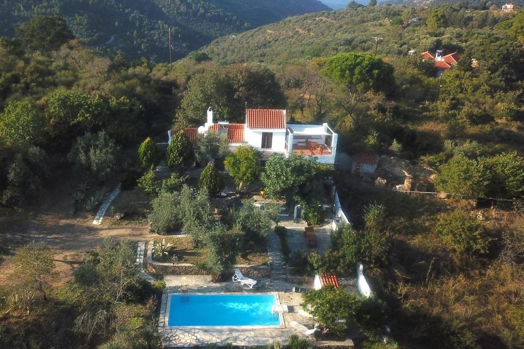 Photo of Others in Skopelos Town
