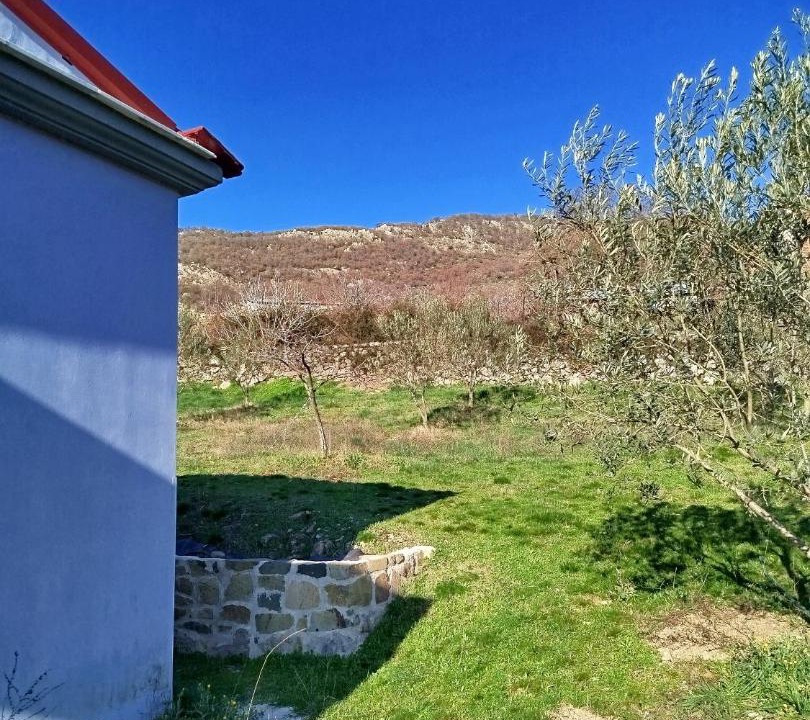 Photo of Others in Lesbos