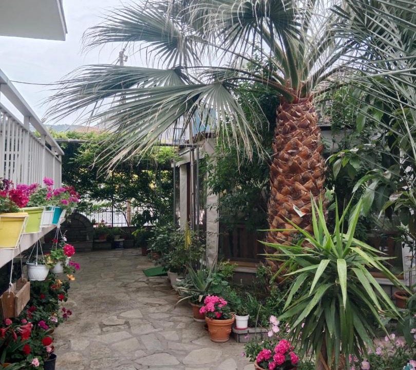 Photo of Others in Skala Prinou