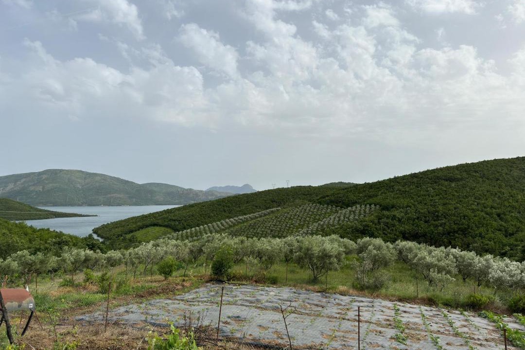 Photo of Others in Sakës