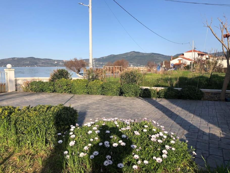 Photo of Others in Lesvos