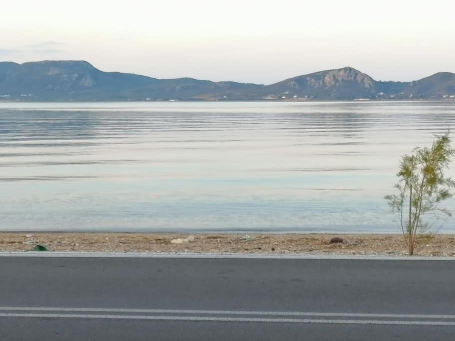 Photo of Others in Lesvos