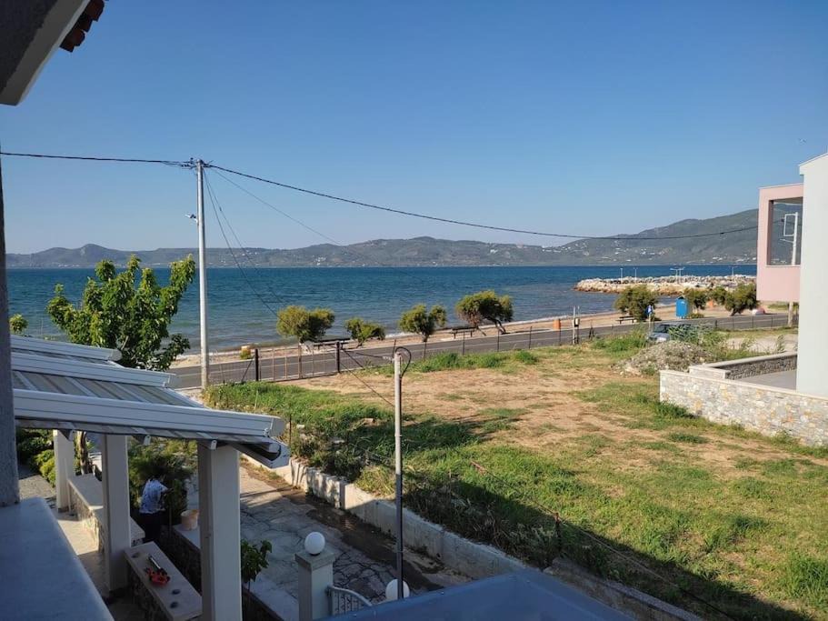 Photo of Others in Lesvos