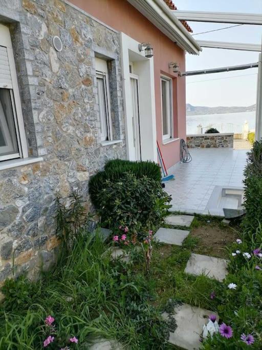 Photo of Others in Lesvos