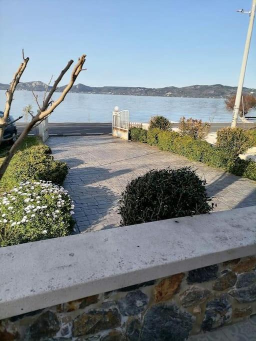 Photo of Others in Lesvos