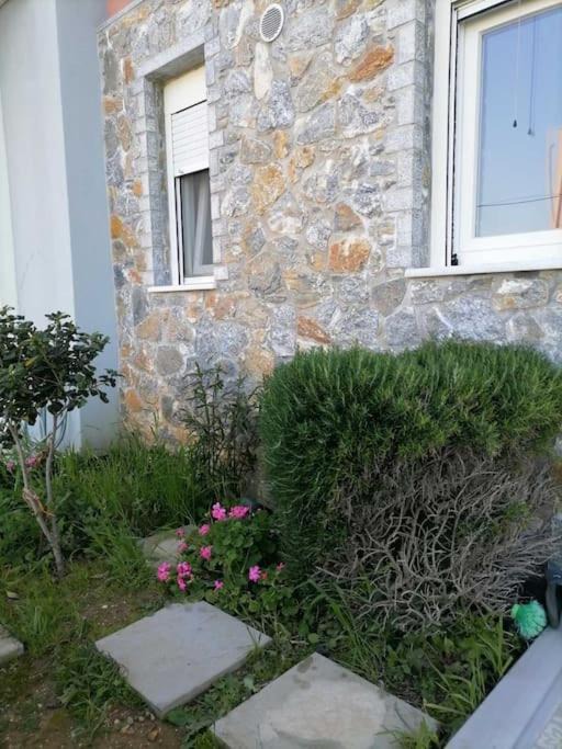 Photo of Others in Lesvos