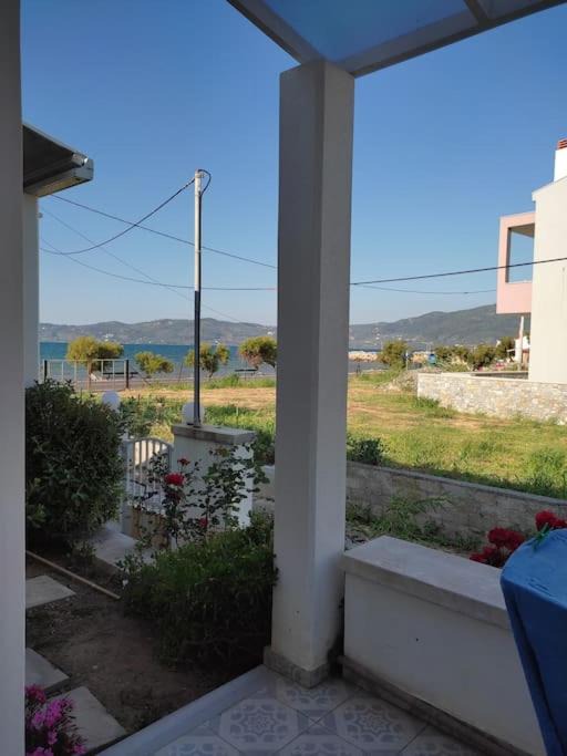Photo of Others in Lesvos