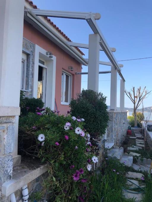 Photo of Others in Lesvos