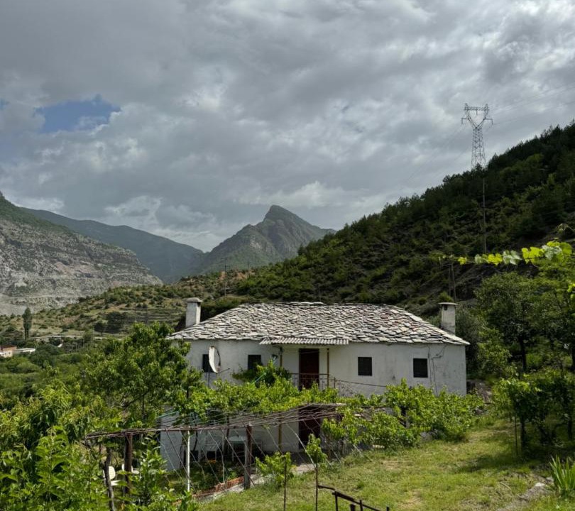 Photo of Others in Koman
