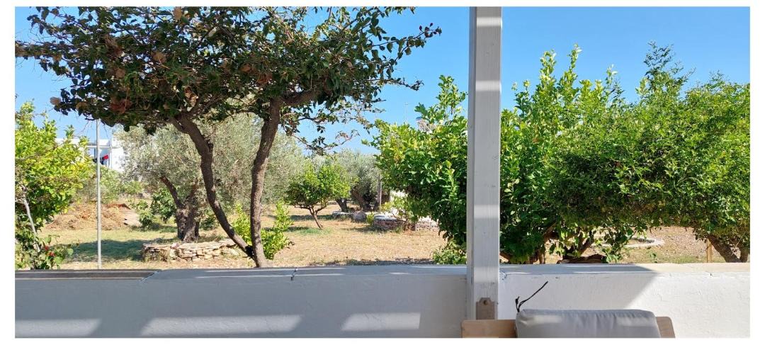 Photo of Others in Platis Gialos