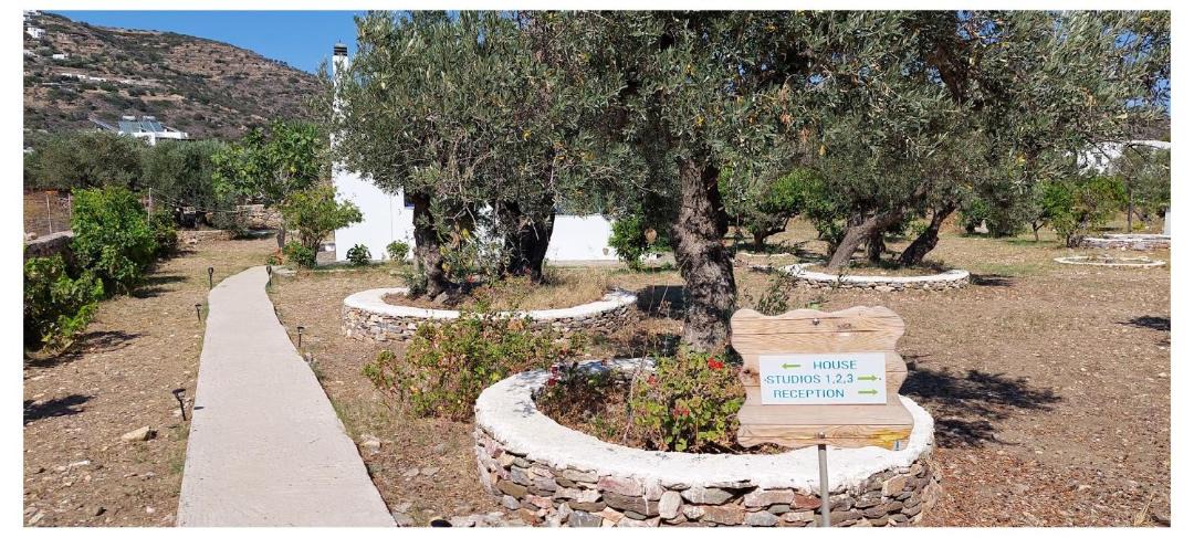 Photo of Others in Platis Gialos